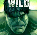 wild-hulk